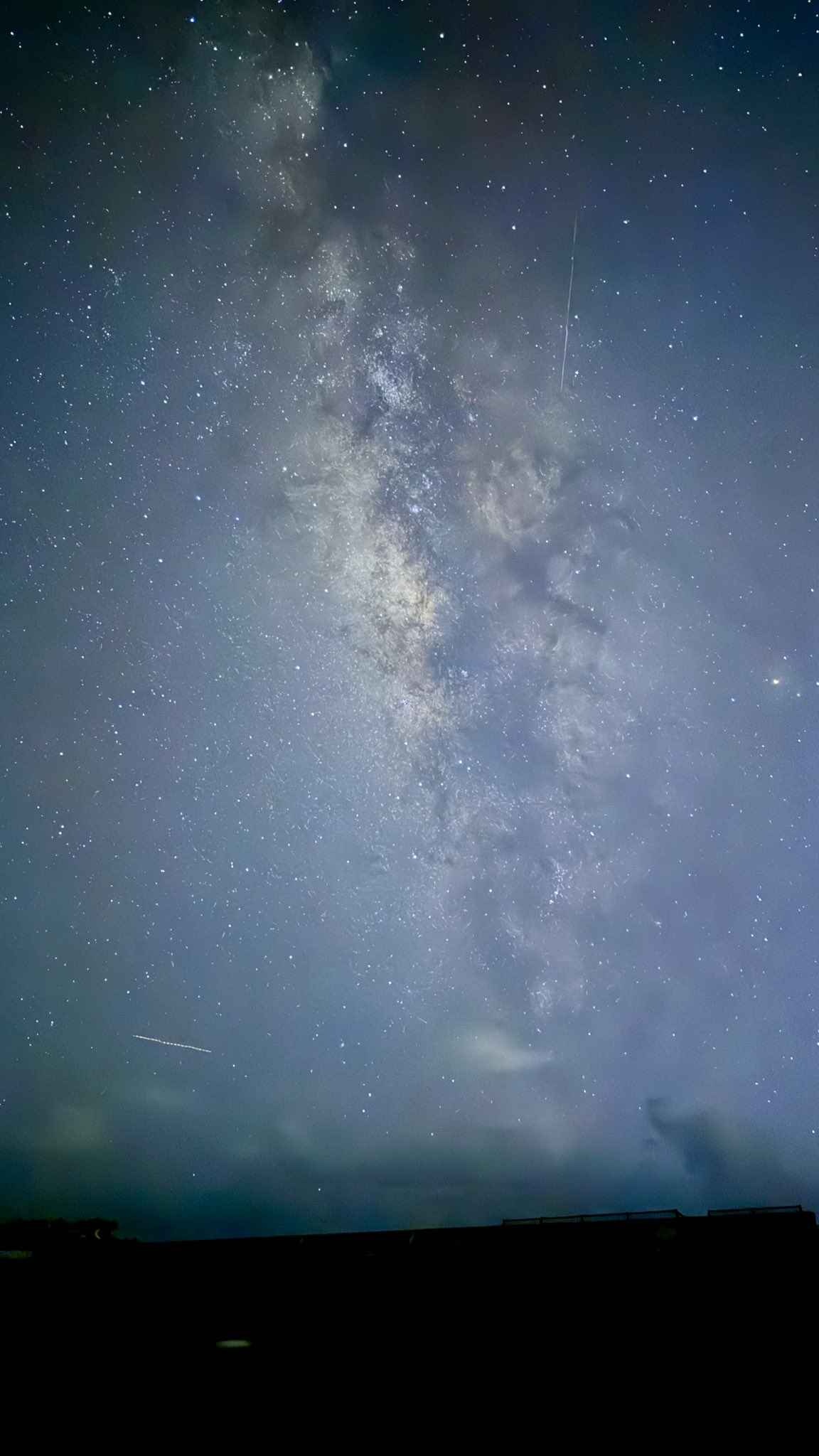 レス17番の画像1