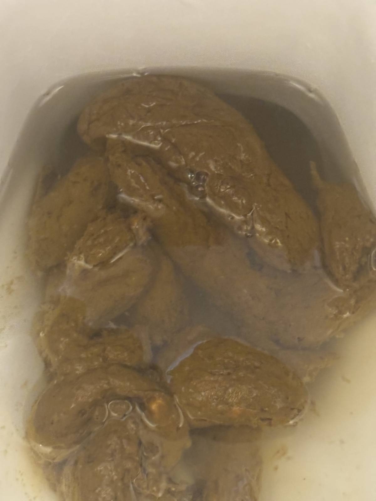 レス21番の画像1