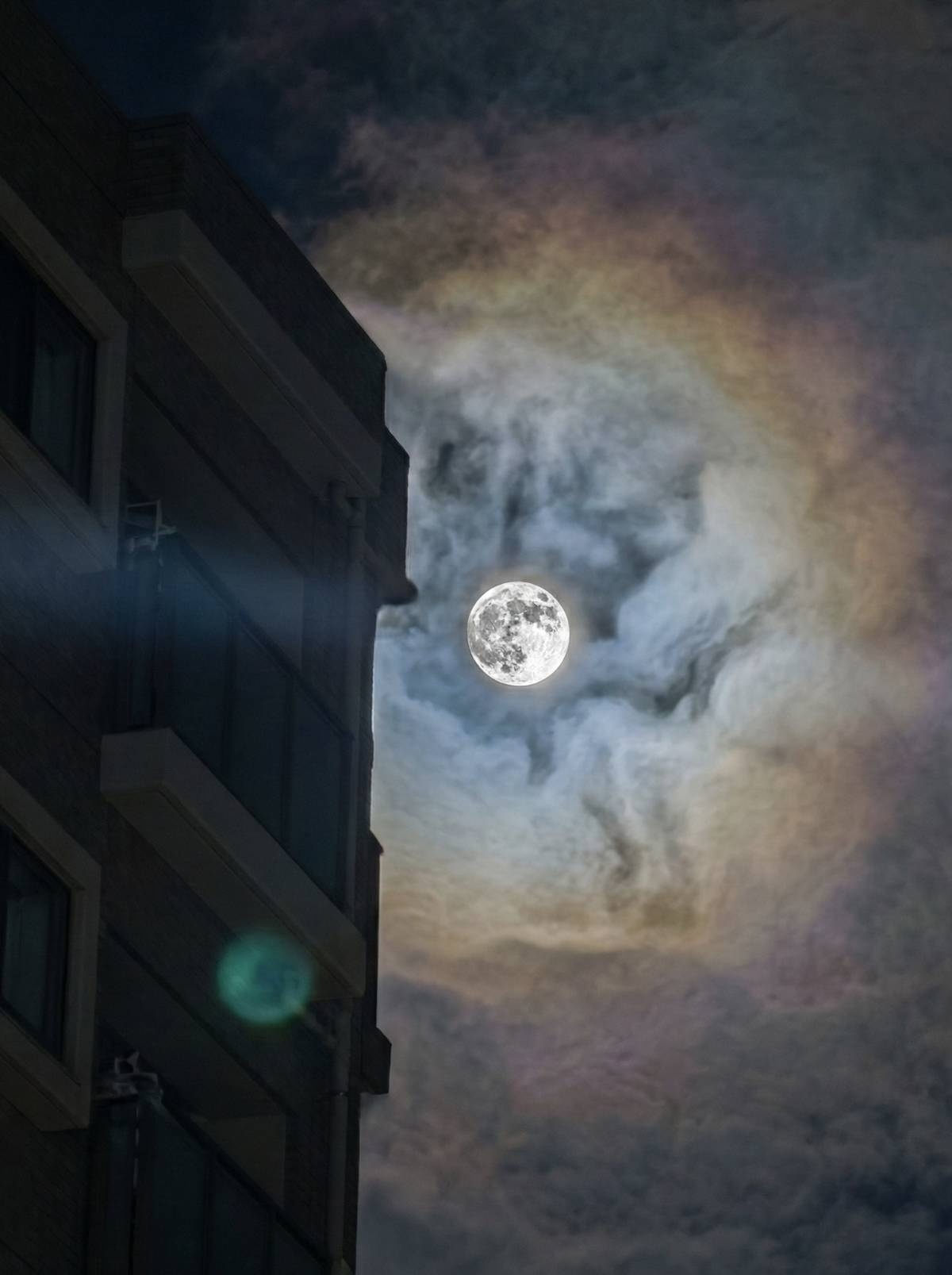 レス33番の画像1