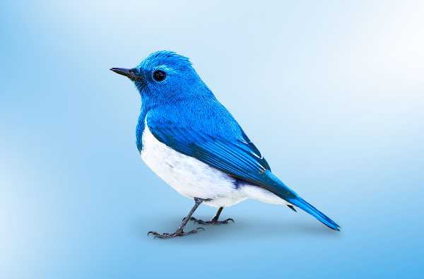 記事サムネイル