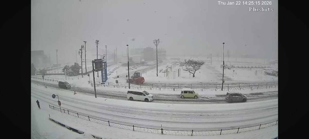 レス34番の画像2