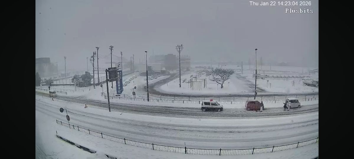 レス22番の画像1