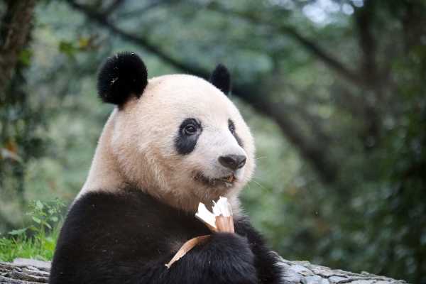 記事サムネイル