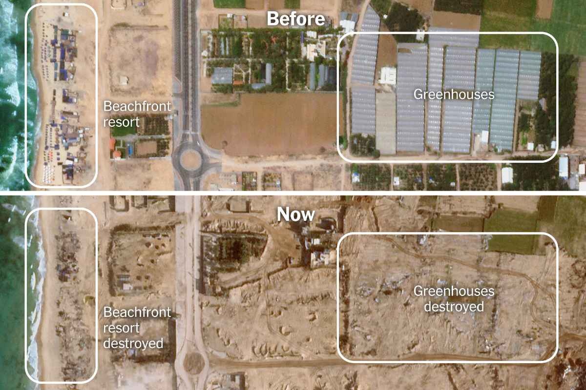 レス11番の画像2