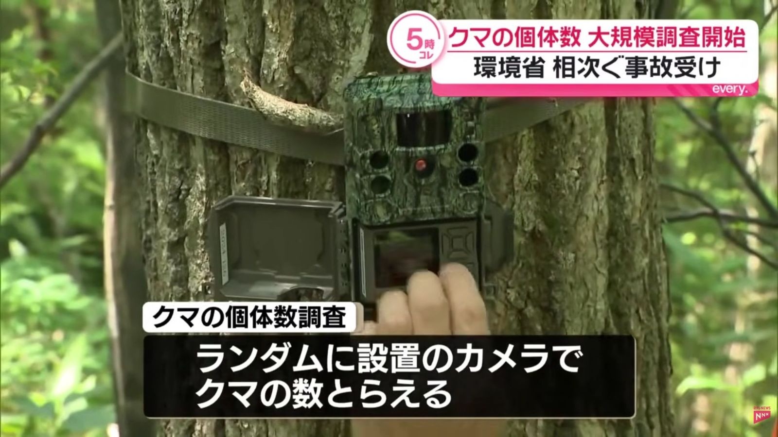 レス1番の画像3