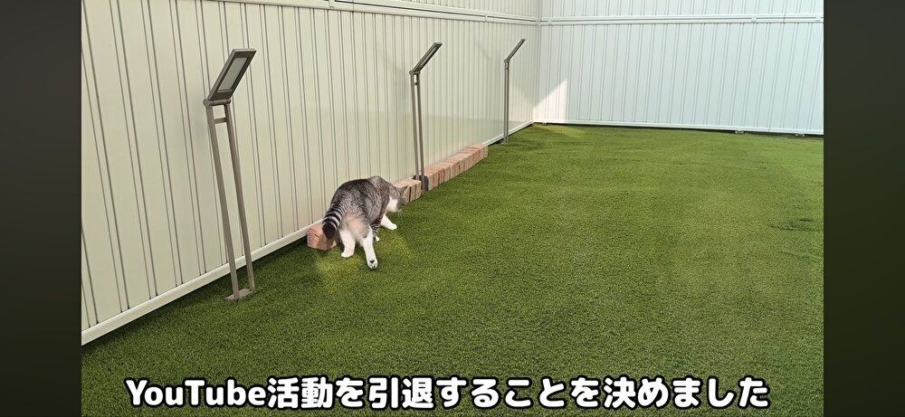レス2番の画像4