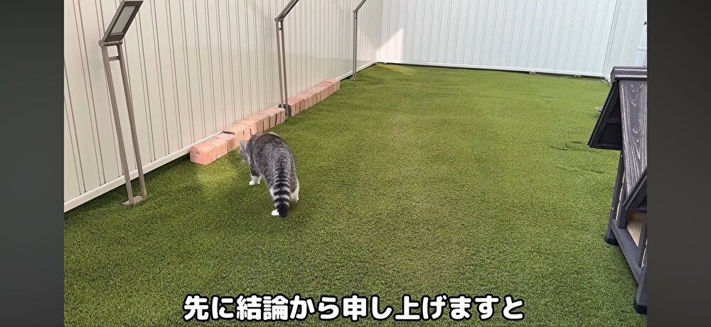 レス2番の画像2