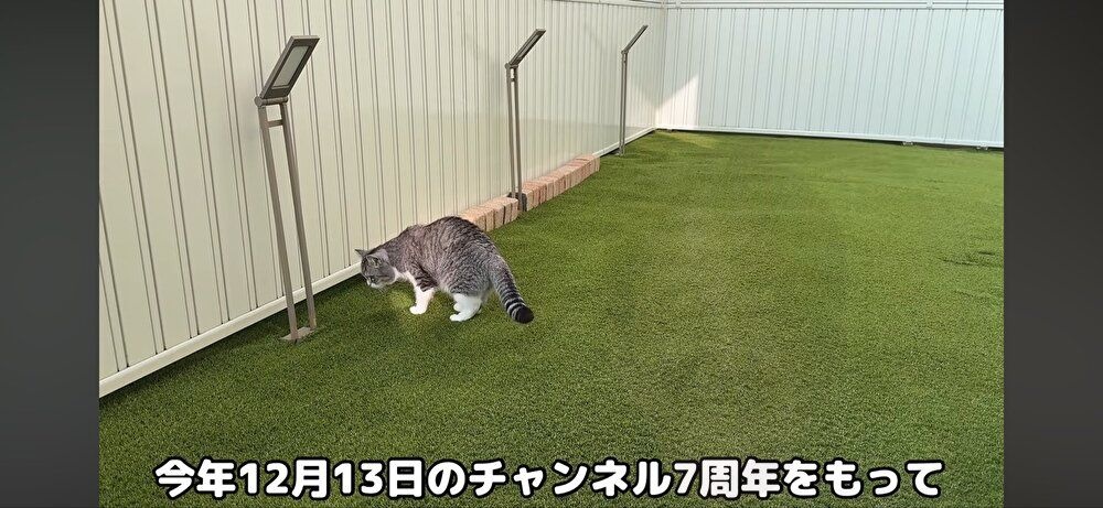レス2番の画像3